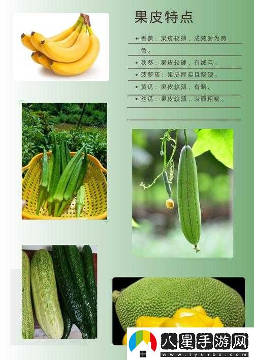 向日葵草莓秋葵黃瓜荔枝絲瓜