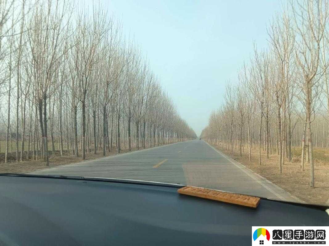 泥濘路途后的美麗風景之歌