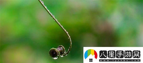 歐美致敬很多經(jīng)典的黑白MV