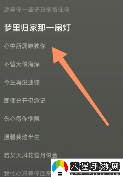 汽水音樂(lè)歌詞查看方法