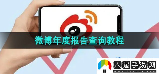 微博2023年度報告查詢教程
