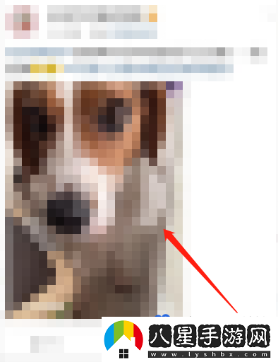 微博關(guān)閉動(dòng)態(tài)視頻封面方法