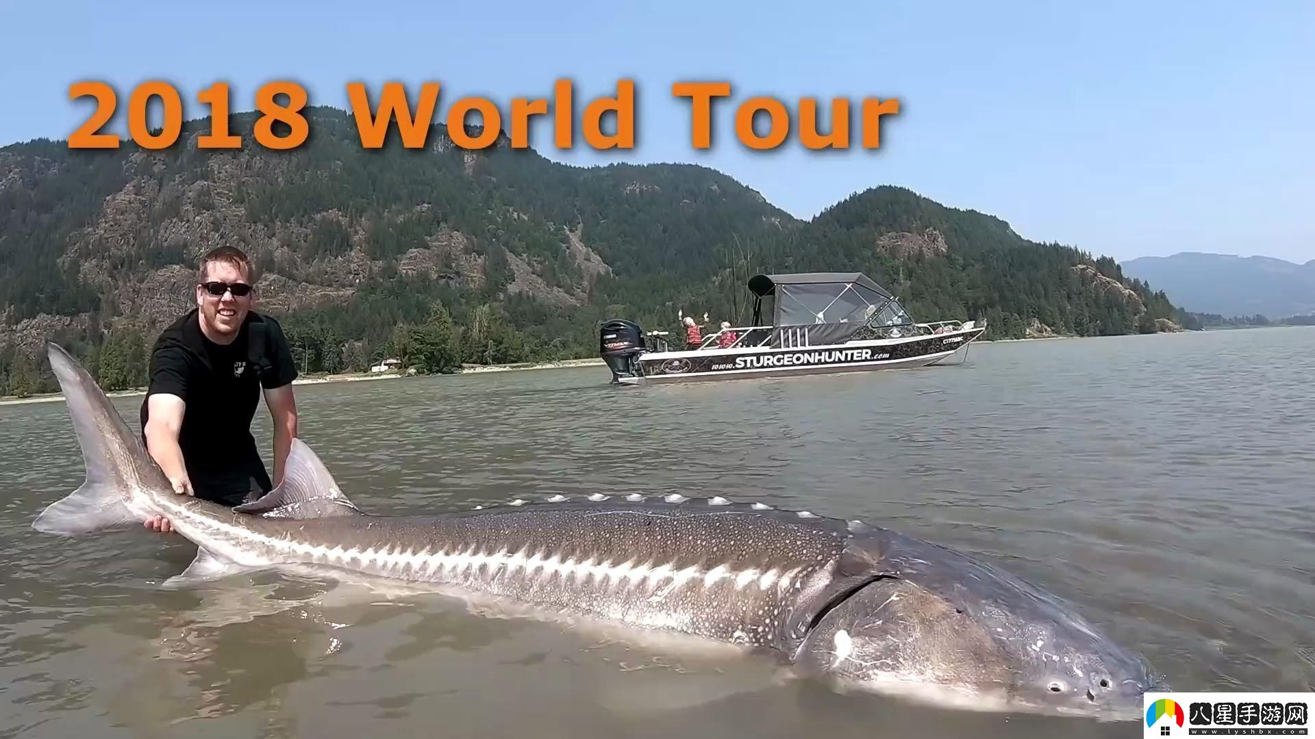 巨大擴大Fishing笑談科技狂潮中的那些小魚小蝦