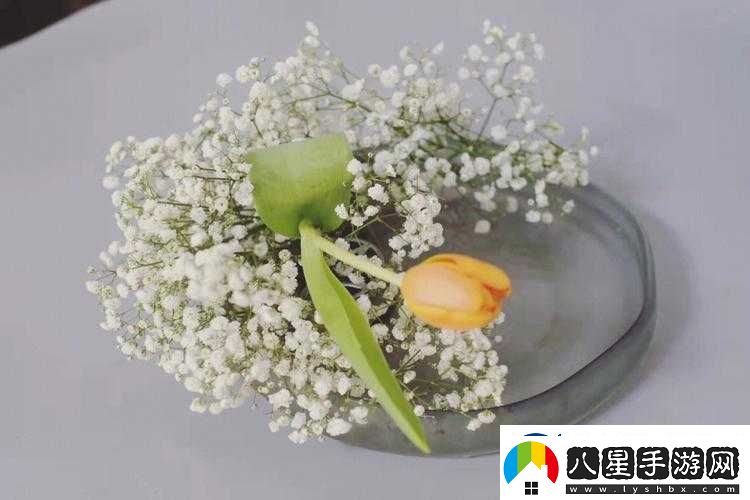 藝術(shù)學(xué)院滿天星法版免費