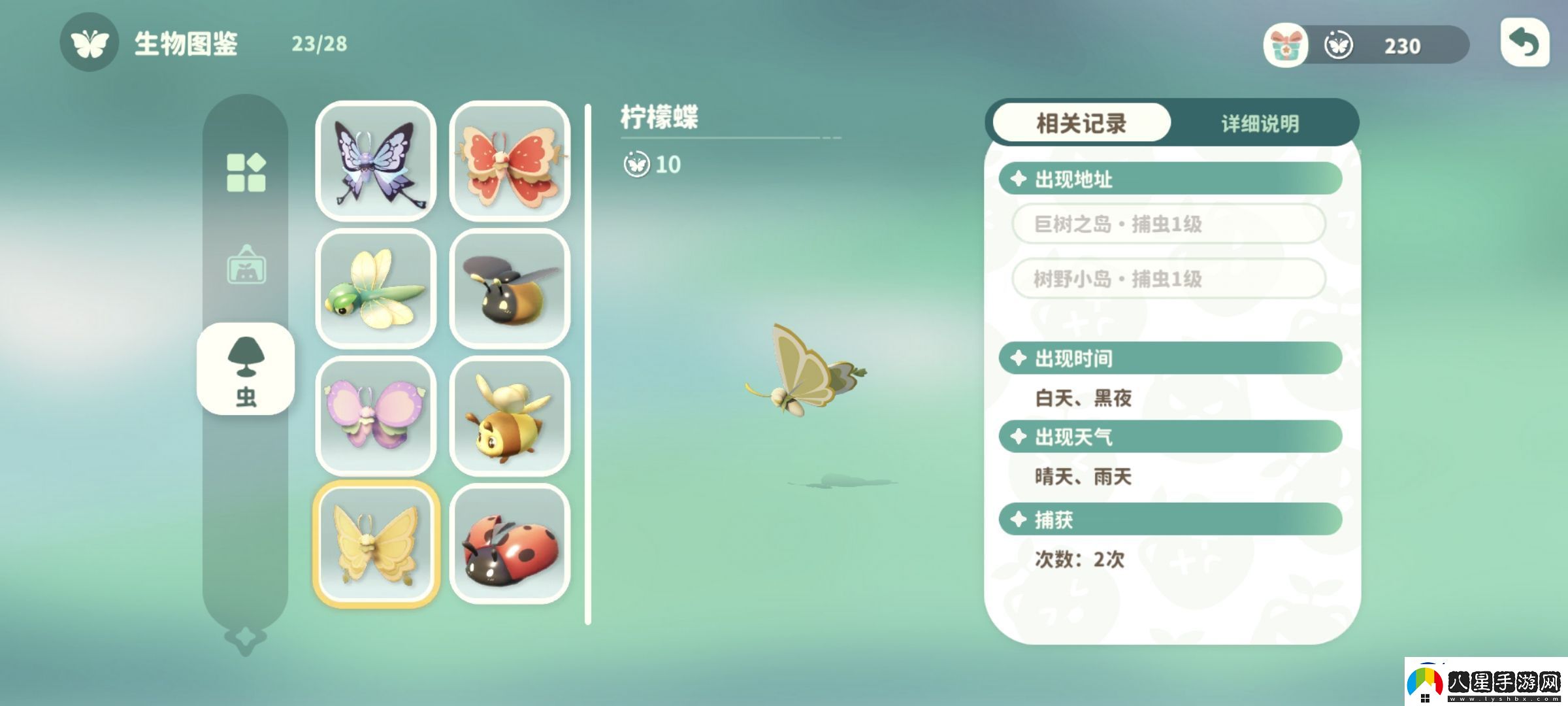 米姆米姆哈檸檬蝶在哪捕捉