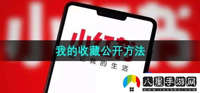 小紅書我的收藏公開方法