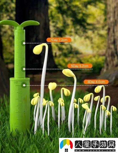 扦插 BB 有什么好處：科學(xué)種植，健康成長