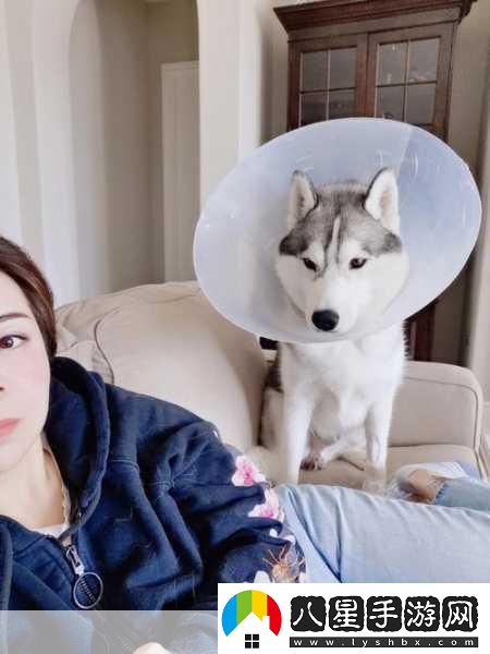 歡樂消消消萌寵攻略解鎖哈士奇的奇妙之旅