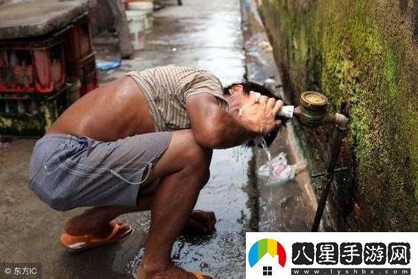 農(nóng)民工野外鏢客最新消息