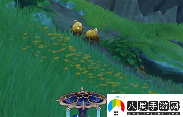 原神與珍稀之鳥的短暫邂逅任務(wù)完成技巧