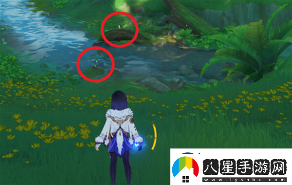 原神與珍稀之鳥的短暫邂逅任務(wù)完成技巧