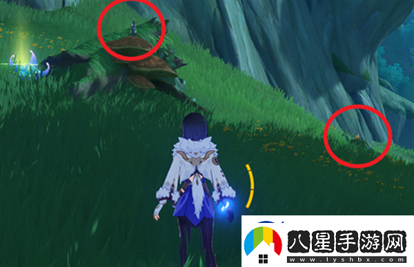 原神與珍稀之鳥的短暫邂逅任務(wù)完成技巧