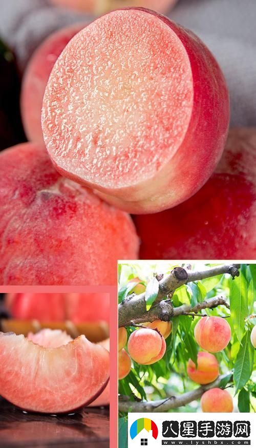 桃醉意國界的新晉網(wǎng)紅！