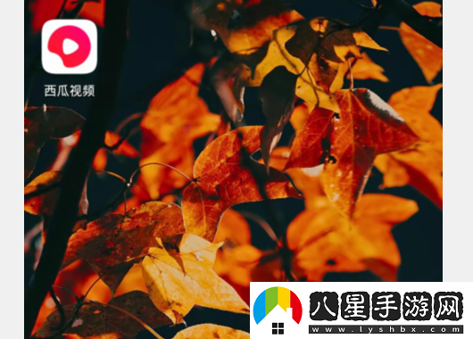 西瓜視頻怎么看電視劇教程 西瓜視頻最新網(wǎng)站-西瓜視頻網(wǎng)頁版