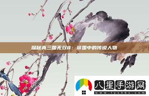 探秘真三國無雙8
