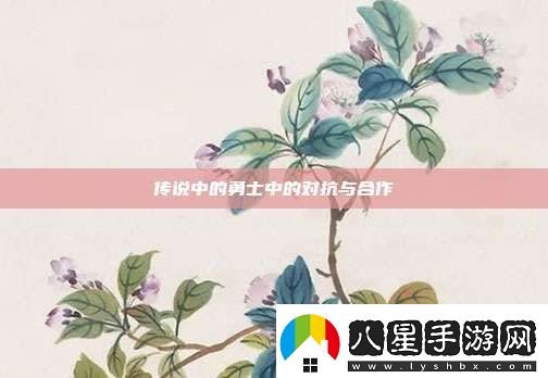 傳說中的勇士中的對抗與合作