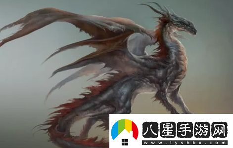 龍系長相是什么梗絡用語