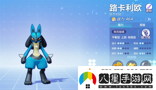 寶可夢大集結(jié)路卡利歐持有物選什么