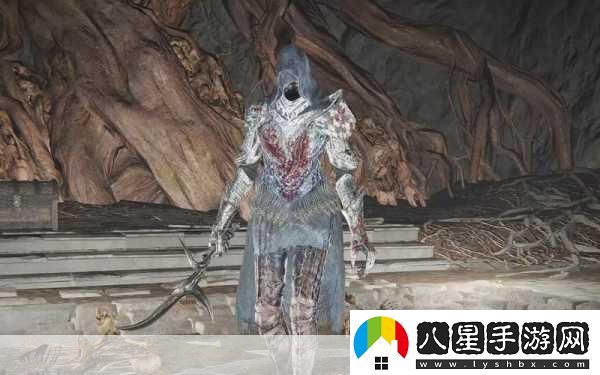 艾爾登法環(huán)黑刀怎么加點(diǎn)