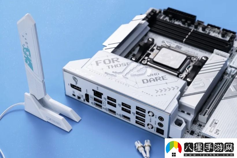 9800X3D+華碩X870主板雙A合璧新王組合