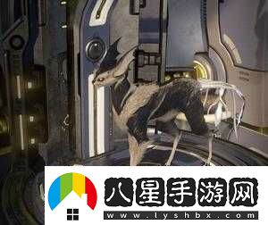 Warframe庫娃與星際戰(zhàn)甲的貓