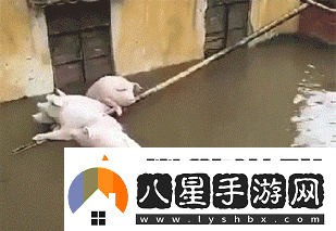 第一次穿高跟鞋的你動圖在地鐵上脫鞋看我怎么治你