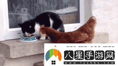 第一次穿高跟鞋的你動圖在地鐵上脫鞋看我怎么治你