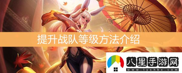 王者榮耀怎么提升戰(zhàn)隊等級