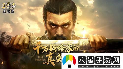 三國(guó)志戰(zhàn)略版平民黃挾軍打法