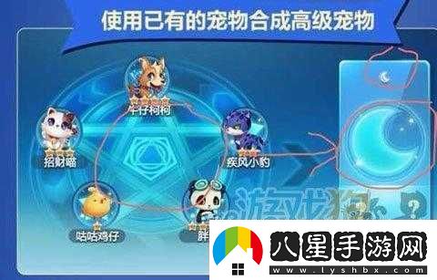 天天酷跑神寵合成秘籍