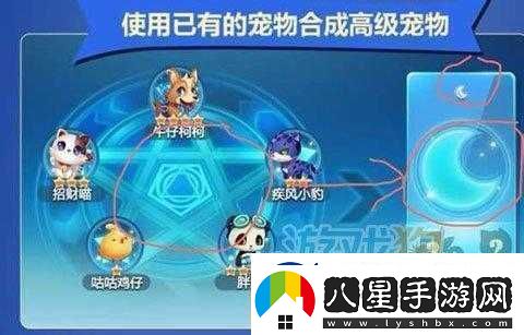 天天酷跑神寵合成秘籍