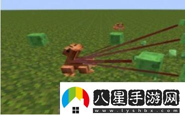 我的世界青蛙有什么用