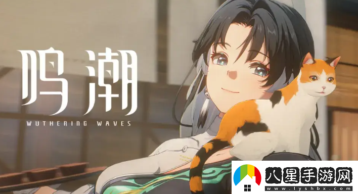 鳴潮平民預(yù)抽卡聲骸選哪個