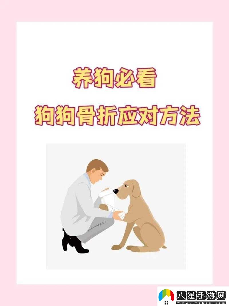 狗卡私處怎么辦