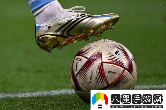 球迷沖賽場(chǎng)導(dǎo)致國(guó)足輸球