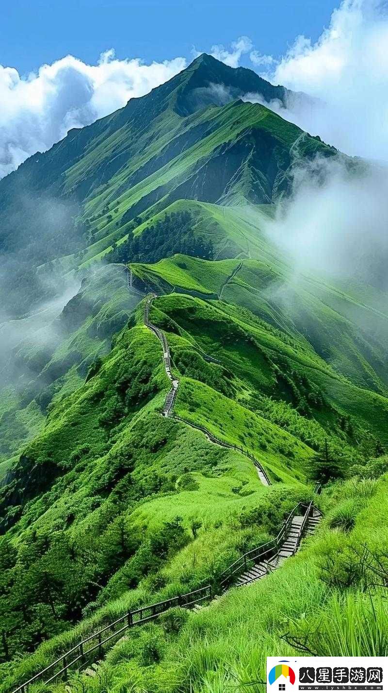 仙蹤林站入口歡迎您免費進入大陸