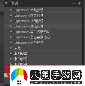 lr怎么設置預設