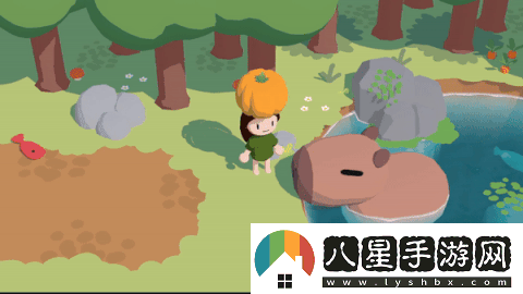 舒舒服服小島時(shí)光游戲特色內(nèi)容介紹