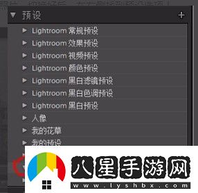 lr怎么設置預設