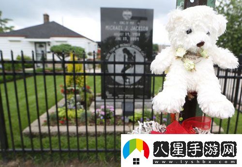 杰克遜逝世五周年各地歌迷紀(jì)念方式各有特色