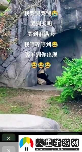 趙麗雅公交車回家的故事