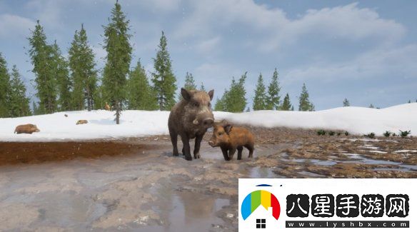 野豬也有模擬器