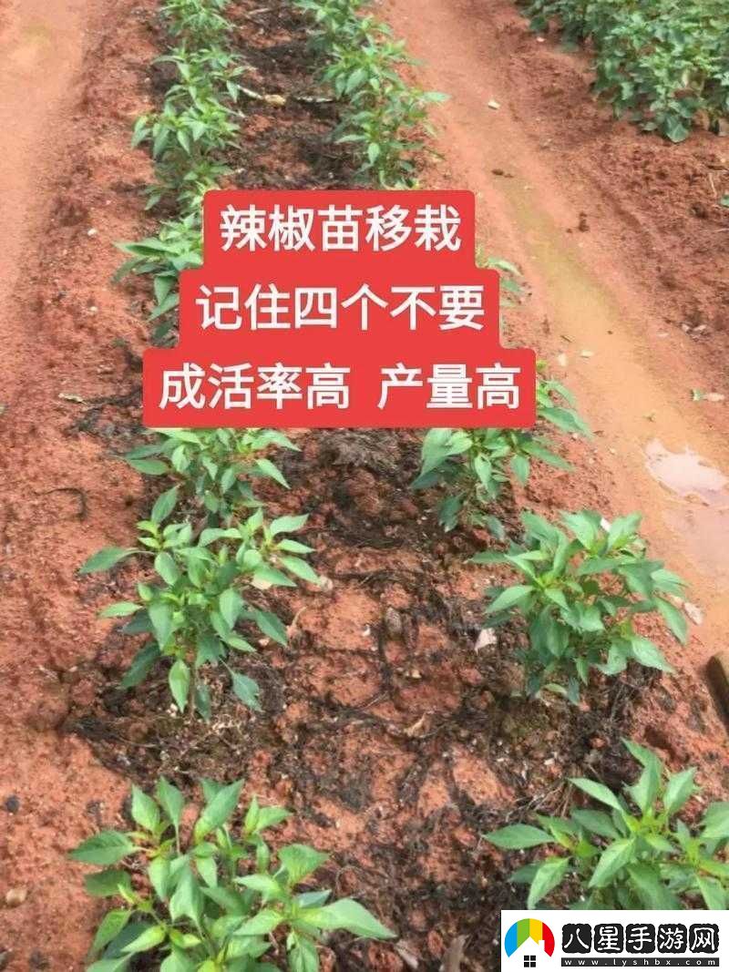 解密義軍超市門