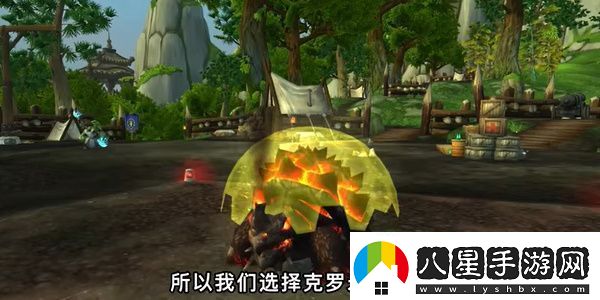 魔獸世界烏龜服獵人選什么寶寶