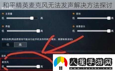 和平精英麥克風(fēng)無法發(fā)聲解決方法探討
