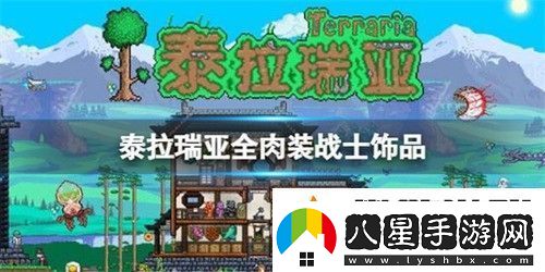 泰拉瑞亞全肉裝戰(zhàn)士出裝怎么選