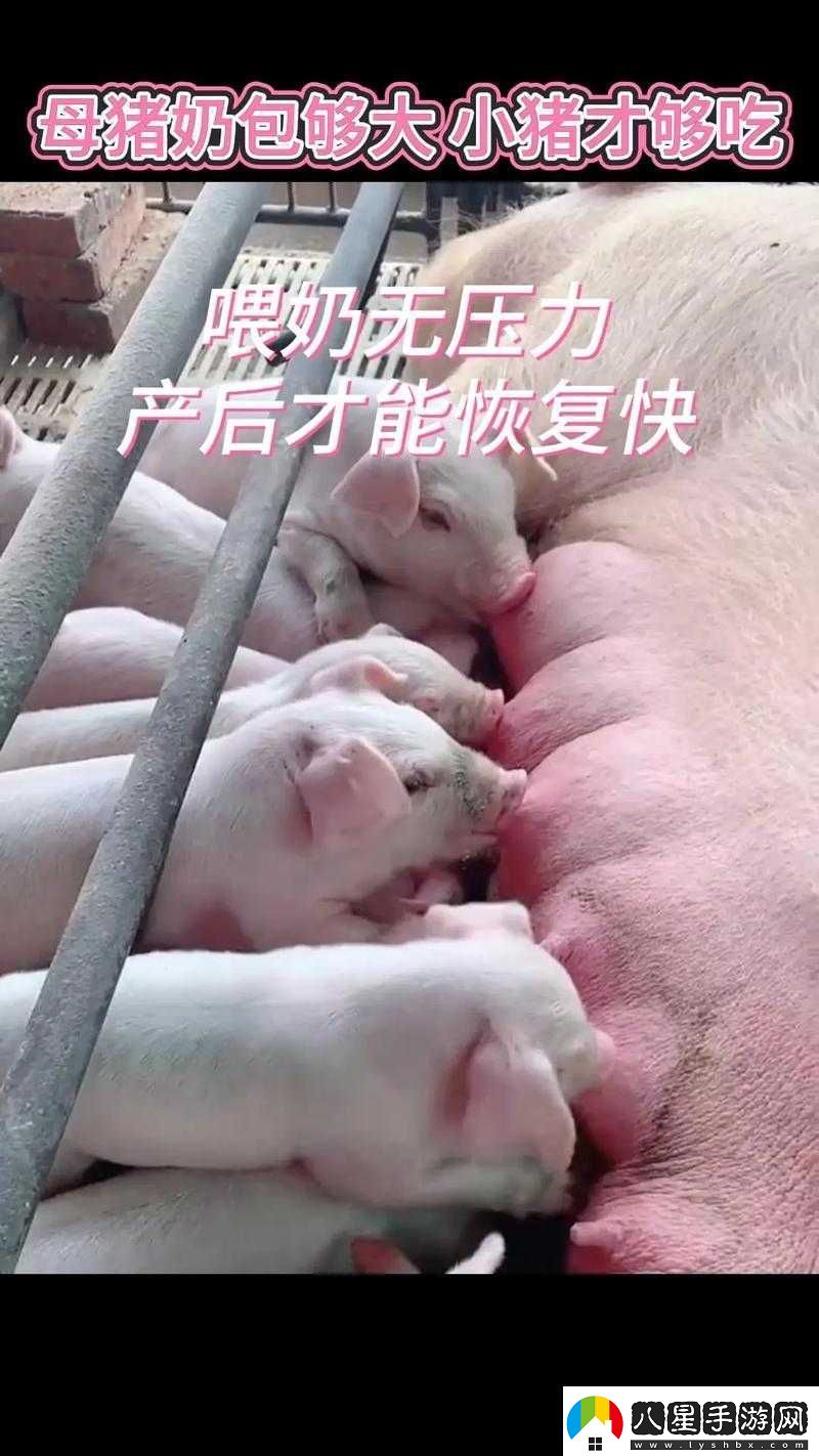 一邊下奶一邊吃敷面膜