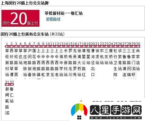 售票員如何使用小Xue查票20路公交的實用指南