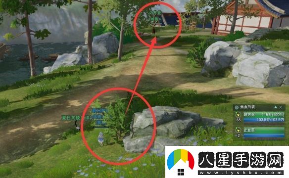 劍網(wǎng)3夜哀鳴寵物奇遇任務(wù)攻略