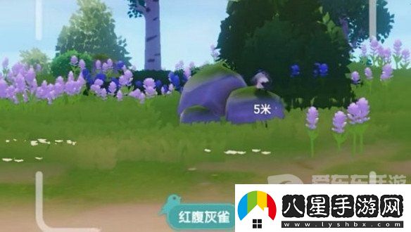 心動(dòng)小鎮(zhèn)怎么拍照